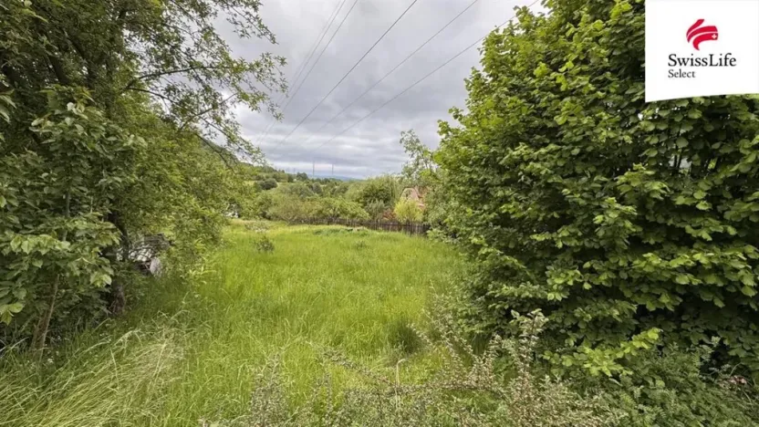 Prodej zahrady, Řehlovice, 1231 m2