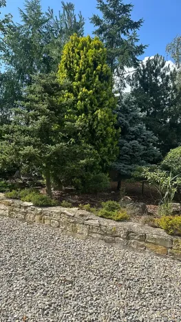 Prodej rodinného domu, Líský, 250 m2