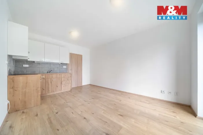 Pronájem bytu 1+kk, Třemošná, Školní, 32 m2