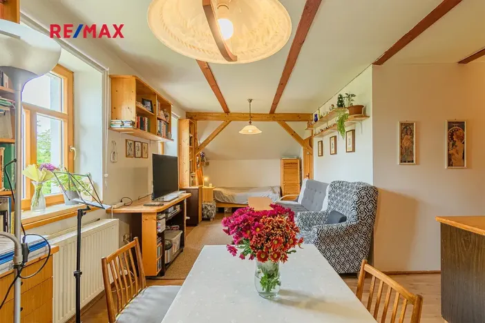 Prodej rodinného domu, Planá, 300 m2