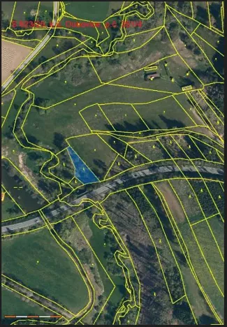 Prodej lesa, Dubovice, 1386 m2