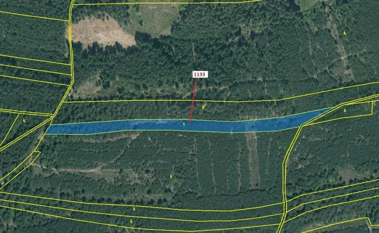 Dražba lesa, Jesenice, 7895 m2