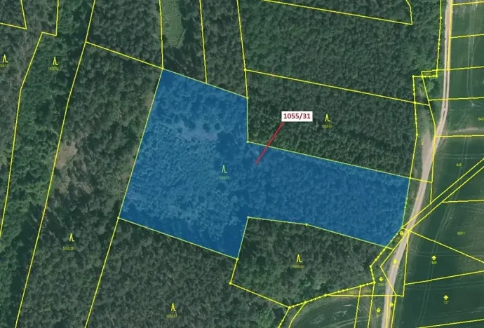 Dražba lesa, Milavče, 9168 m2