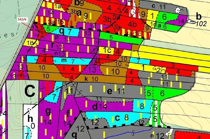 Dražba lesa, Jílovice, 13375 m2