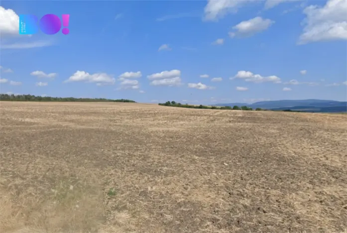 Prodej pole, Dolní Němčí, 16693 m2