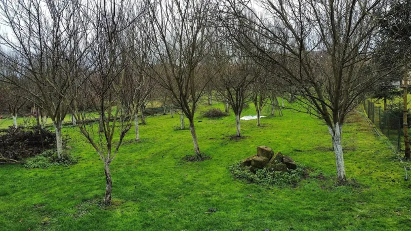 Prodej pozemku pro bydlení, Dub nad Moravou - Bolelouc, 1000 m2