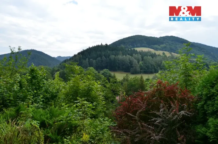 Prodej rodinného domu, Štěpánov nad Svratkou, 110 m2