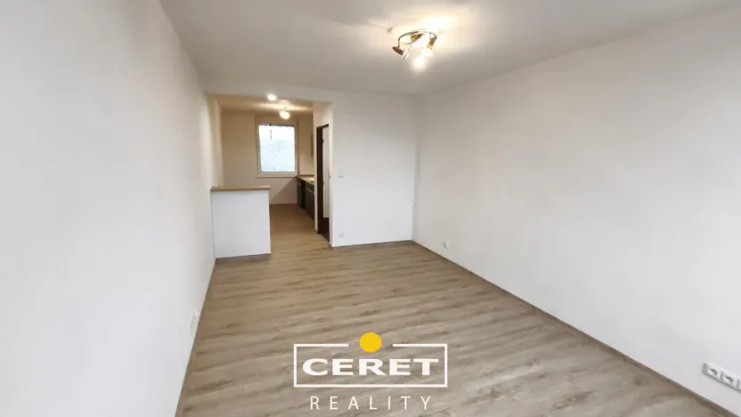 Prodej bytu 2+1, Žatec, Elišky Krásnohorské, 52 m2