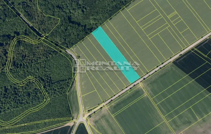 Prodej pole, Bochoř, 16443 m2