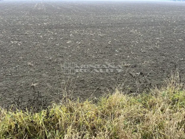 Prodej pole, Tovačov, 3529 m2