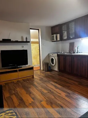 Pronájem bytu 1+kk, Praha - Řepy, Krolmusova, 22 m2