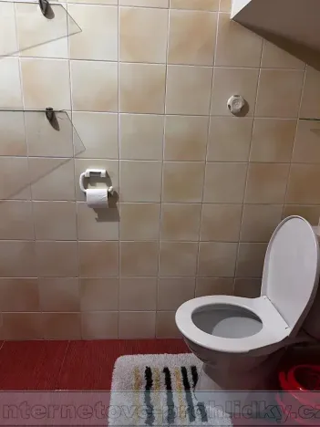 Pronájem bytu 1+kk, Praha - Řepy, Krolmusova, 22 m2