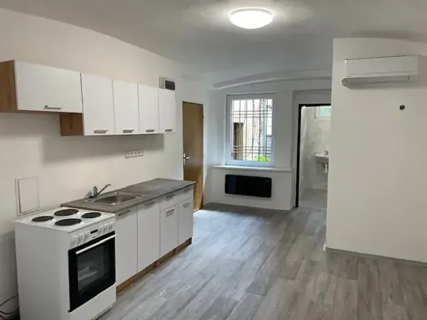 Pronájem bytu 1+kk, Teplice, Souběžná, 50 m2