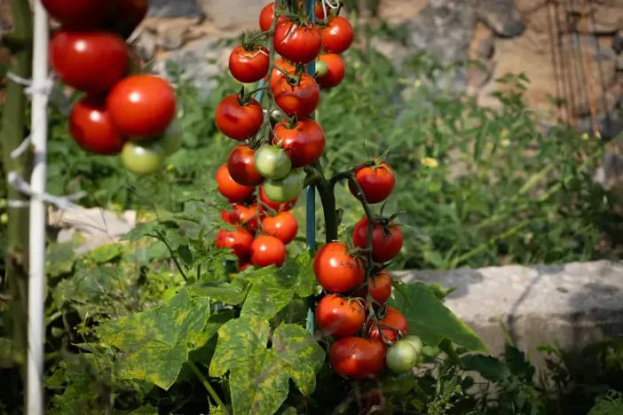 Prodej rodinného domu, Bžany, 240 m2