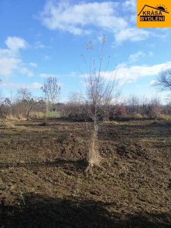 Prodej zahrady, Olomouc, 470 m2