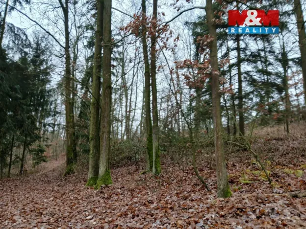 Prodej lesa, Krašlovice, 9178 m2