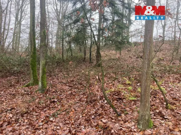 Prodej lesa, Krašlovice, 9178 m2