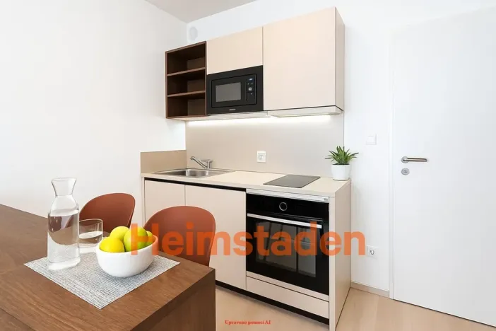 Pronájem bytu 1+kk, Plzeň - Jižní Předměstí, Magisterská, 27 m2