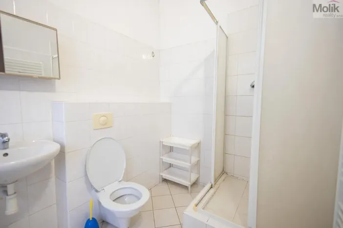 Prodej bytu 2+kk, Teplice, Jungmannova, 66 m2