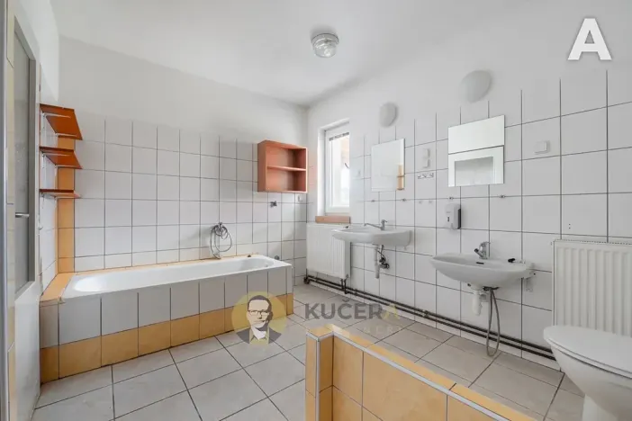 Prodej rodinného domu, Velká Chmelištná, 550 m2