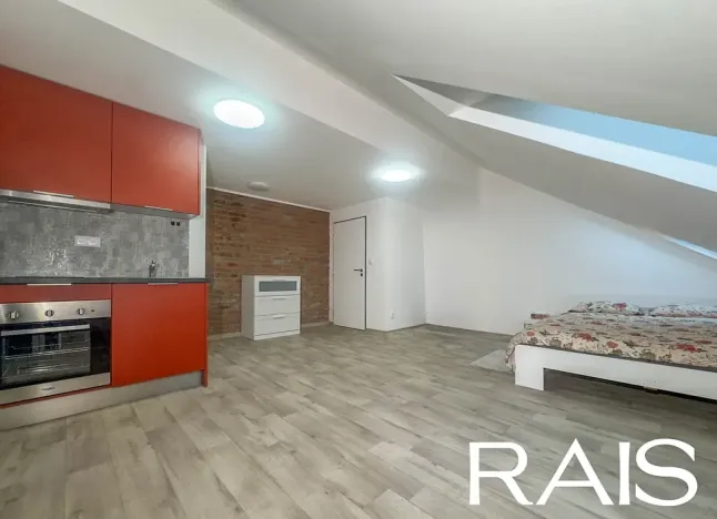 Pronájem bytu 1+kk, Brno, Bašty, 40 m2