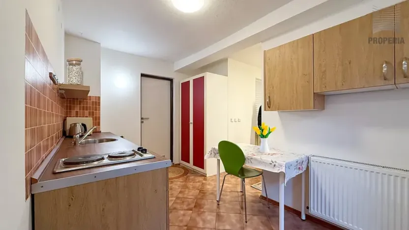 Pronájem bytu 1+kk, Brno, Teslova, 20 m2