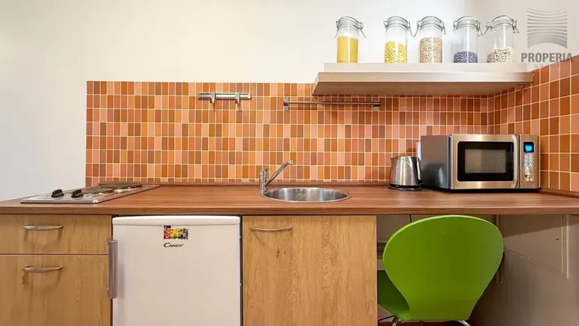 Pronájem bytu 1+kk, Brno, Teslova, 20 m2