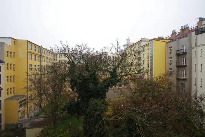 Pronájem bytu 2+kk, Praha - Vinohrady, Anny Letenské, 75 m2