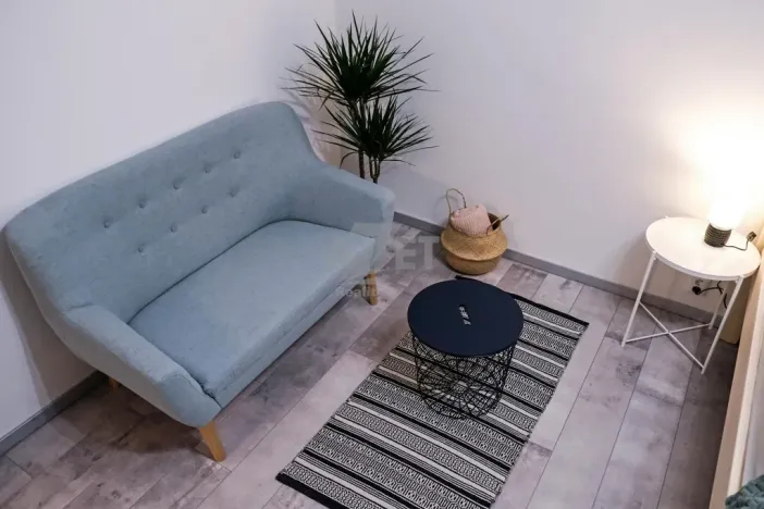 Pronájem bytu 1+1, Ostrava - Slezská Ostrava, Bohumínská, 38 m2