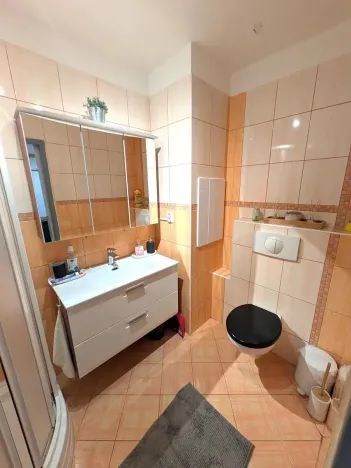 Prodej bytu 2+1, Most, M. G. Dobnera, 54 m2