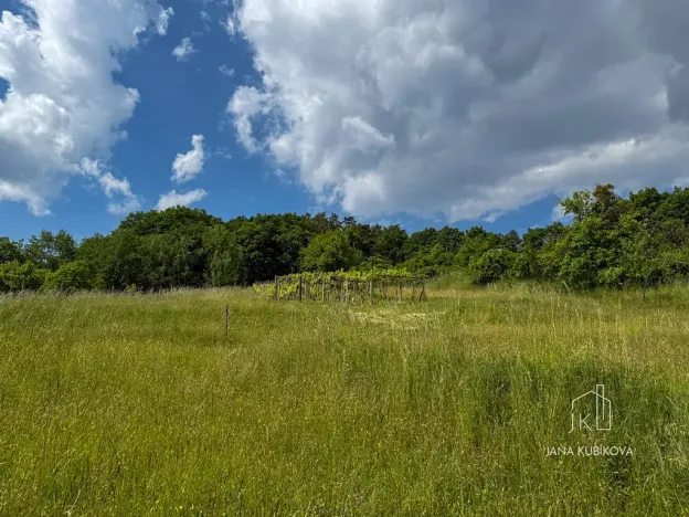Prodej pozemku pro bydlení, Vřesovice, 2455 m2