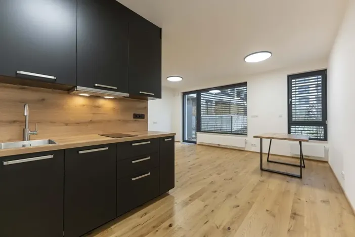 Pronájem bytu 1+kk, Praha - Nusle, Muzikova, 50 m2