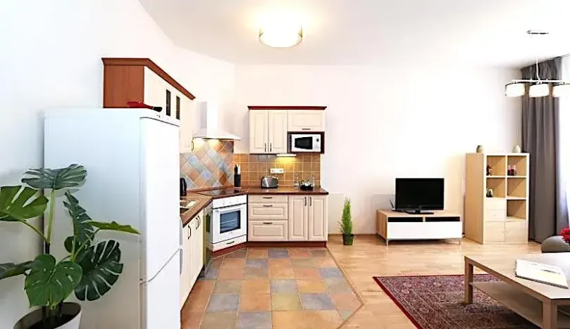 Pronájem bytu 3+kk, Praha - Vinohrady, Moravská, 65 m2