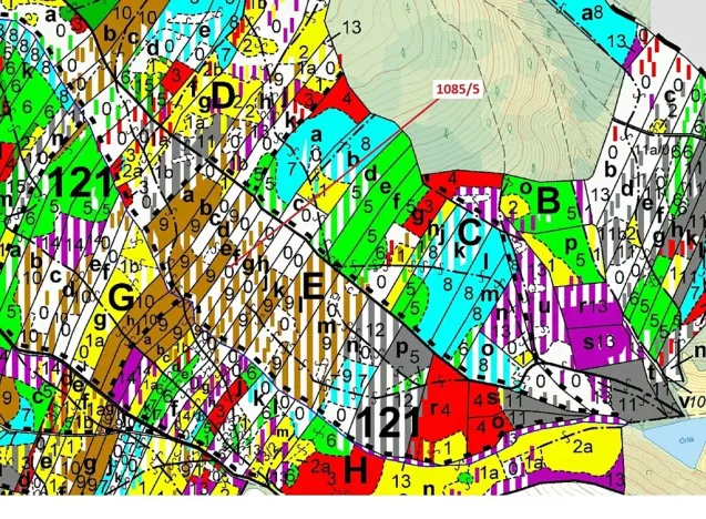Dražba lesa, Veverské Knínice, 3926 m2