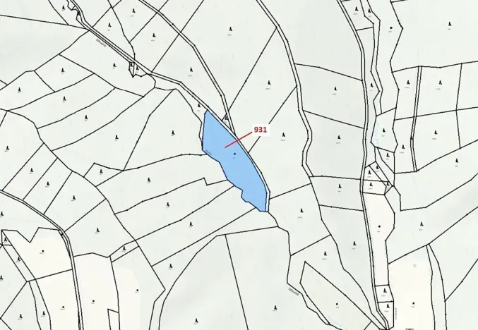 Dražba louky, Jílové u Držkova, 4019 m2