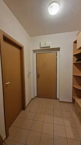 Prodej bytu 1+kk, Štěnovice, Čižická, 27 m2