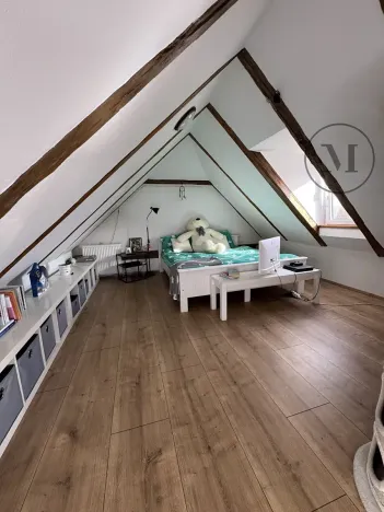 Prodej rodinného domu, Nová Ves, 480 m2