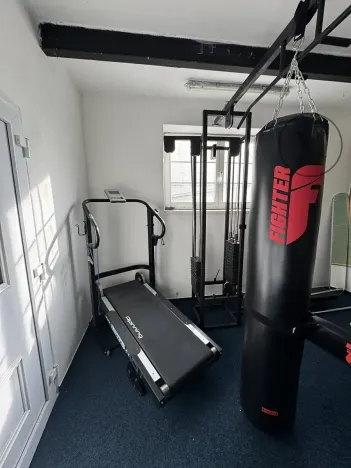 Prodej rodinného domu, Nová Ves, 480 m2