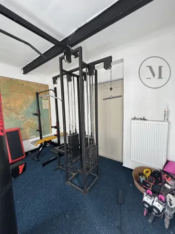 Prodej rodinného domu, Nová Ves, 480 m2