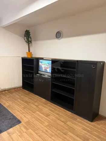 Pronájem atypického bytu, Praha - Košíře, Vrchlického, 20 m2