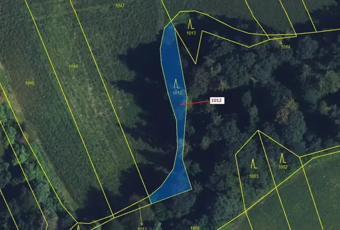 Dražba lesa, Spešov, 500 m2