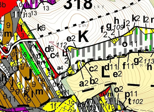 Dražba lesa, Spešov, 500 m2