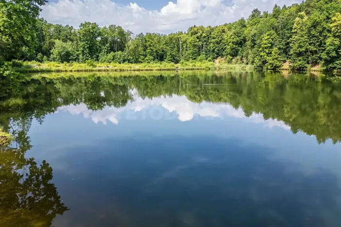 Prodej rodinného domu, Kornatice, 270 m2