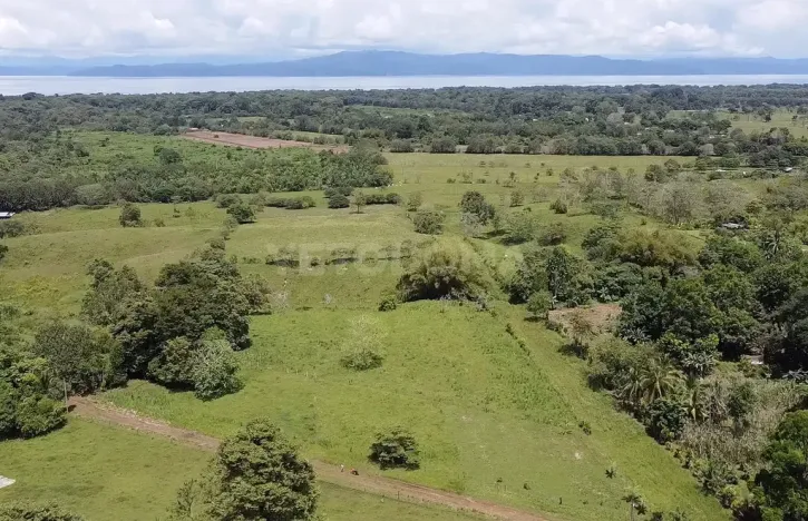 Prodej pozemku pro bydlení, Puerto Jiménez, Kostarika, Calle Los Pollos, 8924 m2