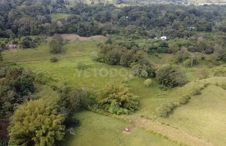 Prodej pozemku pro bydlení, Puerto Jiménez, Kostarika, Calle Los Pollos, 8924 m2