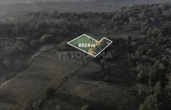 Prodej pozemku pro bydlení, Puerto Jiménez, Kostarika, Calle Los Pollos, 8924 m2