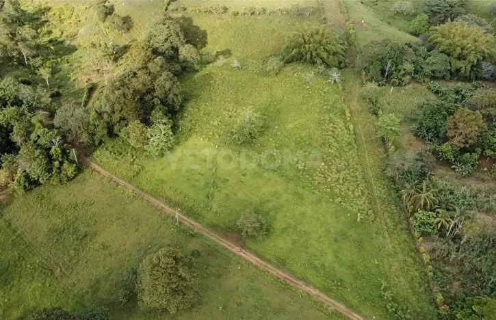 Prodej pozemku pro bydlení, Puerto Jiménez, Kostarika, Calle Los Pollos, 8924 m2