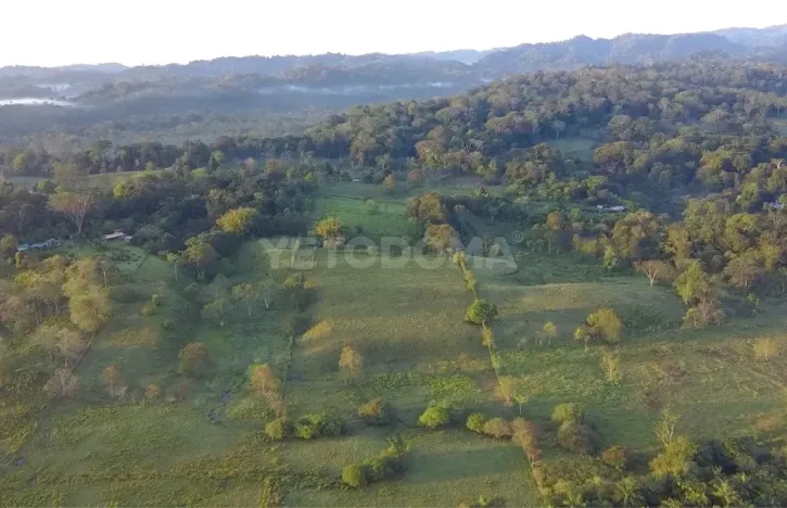 Prodej pozemku pro bydlení, Puerto Jiménez, Kostarika, Calle Los Pollos, 8924 m2