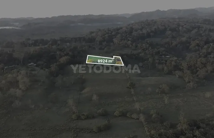 Prodej pozemku pro bydlení, Puerto Jiménez, Kostarika, Calle Los Pollos, 8924 m2