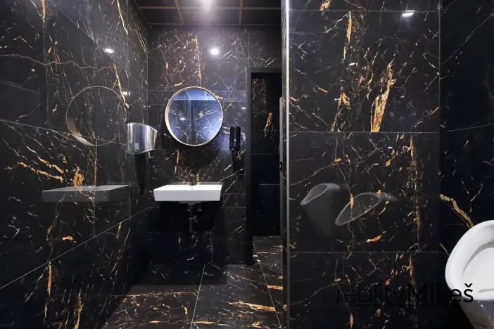 Pronájem obchodního prostoru, Liberec, Na Žižkově, 351 m2